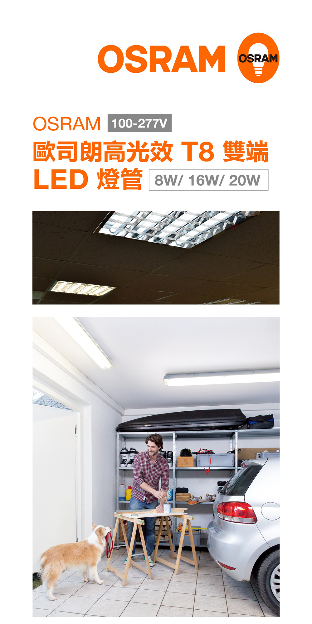 歐司朗高光效 T8 雙端 LED 燈管 100-277V