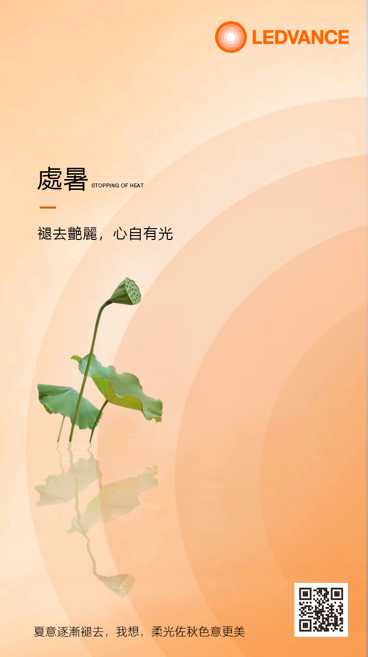 褪去艷麗 心自有光
