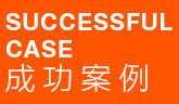 成功案例