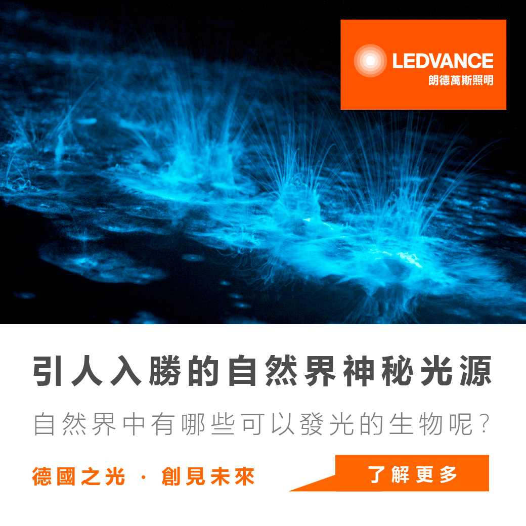 引人入勝的自然界神秘光源