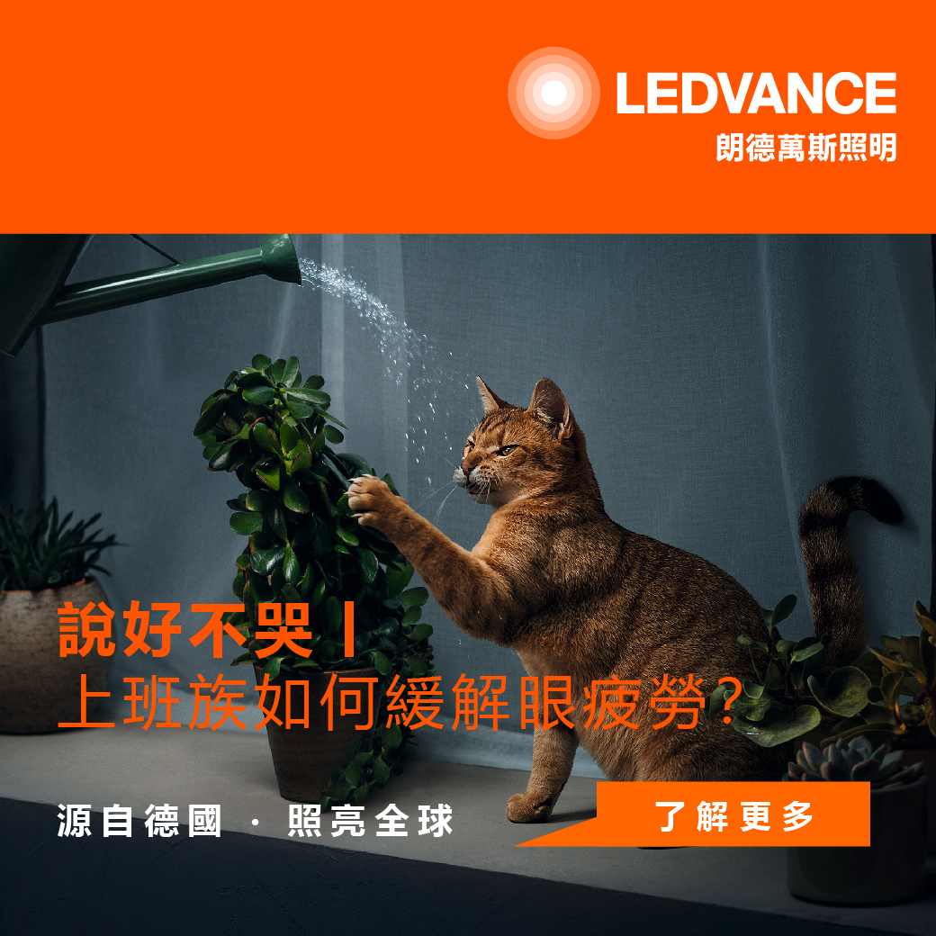 說好不哭丨上班族如何緩解眼疲勞?