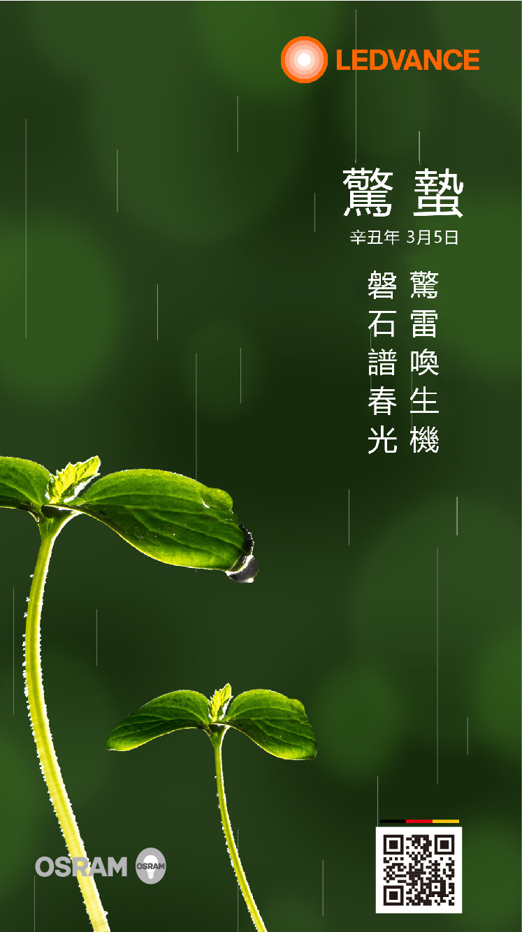 驚蟄 l 驚雷喚生機，磐石譜春光