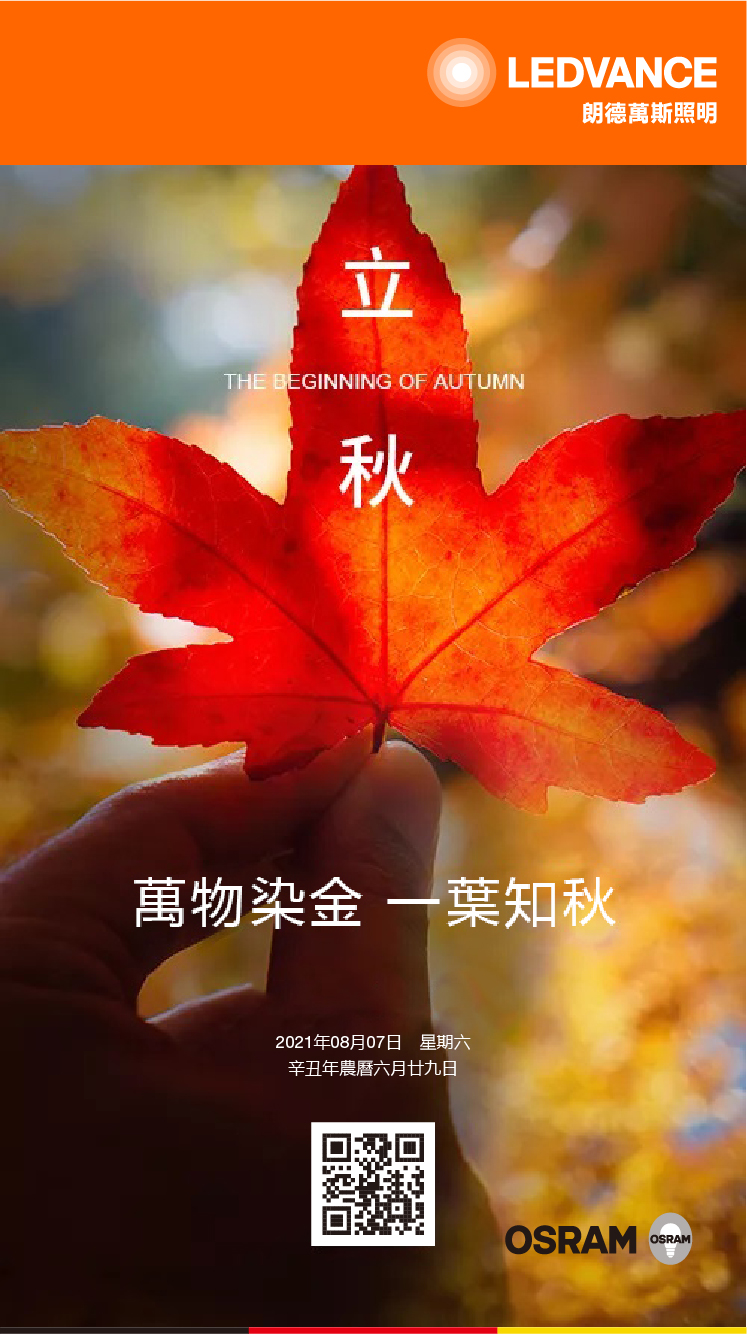 萬物染金 一葉知秋