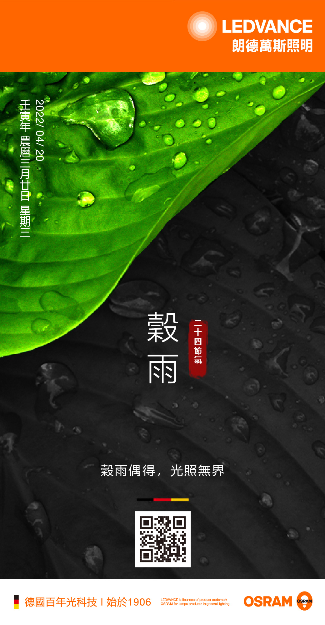 穀雨偶得，光照無界