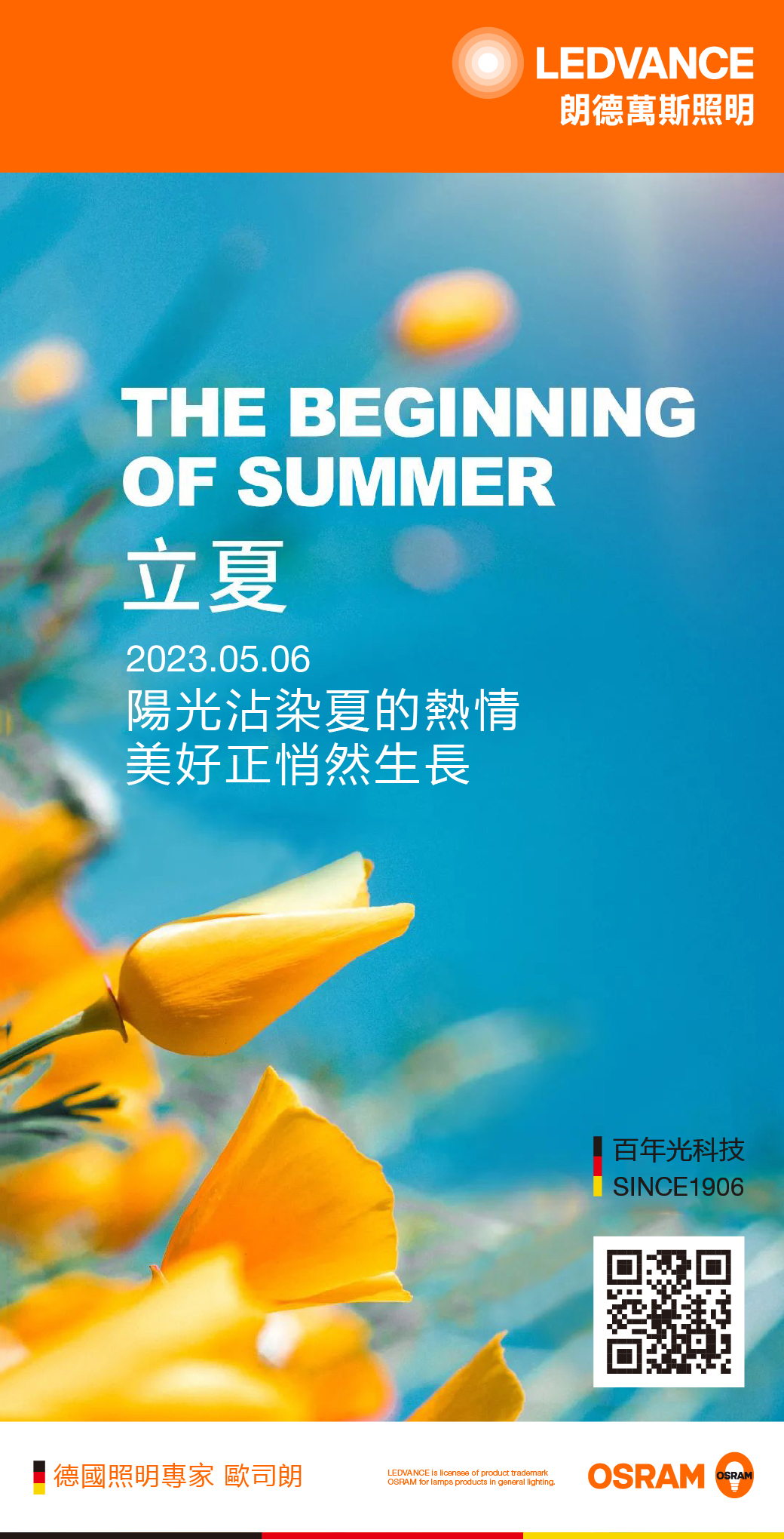 立夏丨陽光沾染夏的熱情 美好正悄然生長