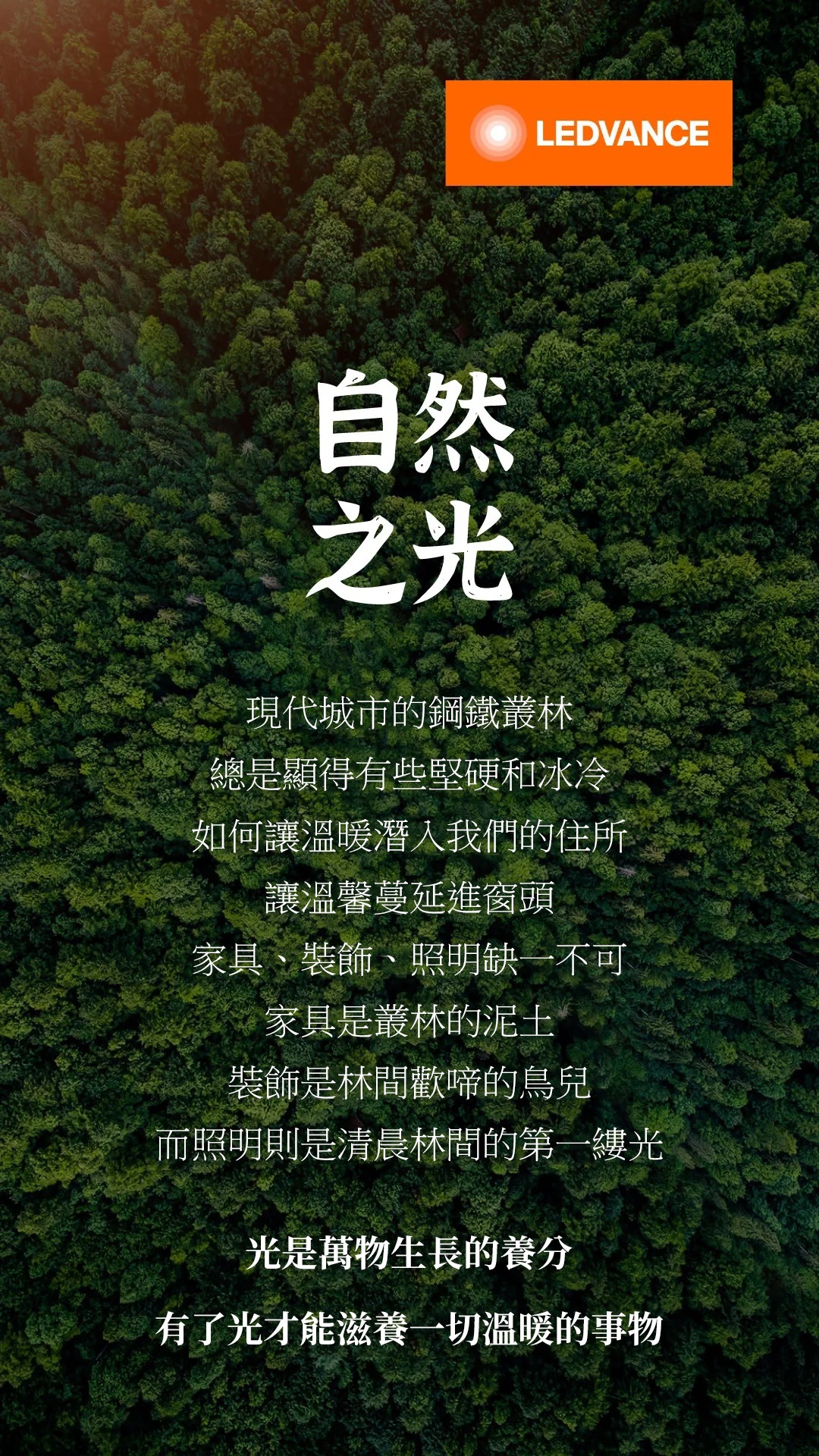 自然之光 點亮生活