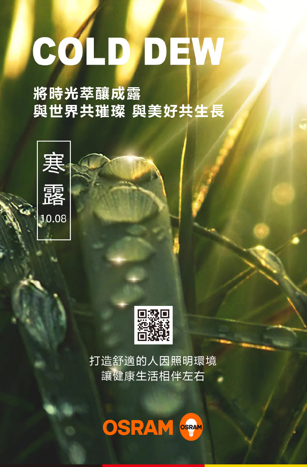 寒露丨將時光萃釀成露 與世界共璀璨 與美好共生長